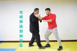 足球直播在线直播观看免费-韩国队完胜奥地利队，波尔高光表现